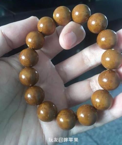 紫金鼠怎么存放