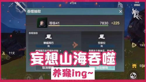 妄想山海猩猩技能介绍