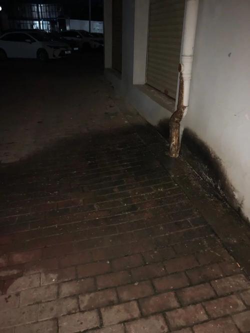 我家后面老有人往墙上撒尿咋办