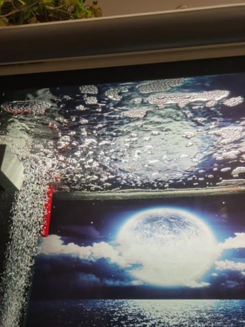 水缸水面为什么起泡泡