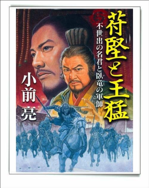 后世对王猛的评价