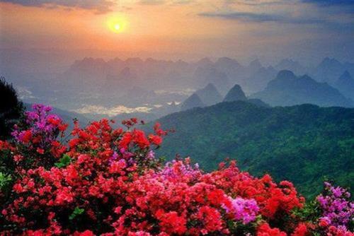 桂林花海介绍