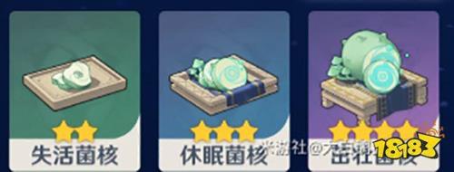 最后一个蕈兽怎么培养