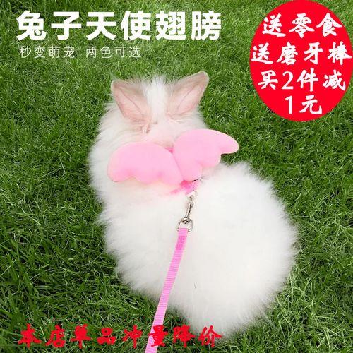 兔子可以牵着绳子不走