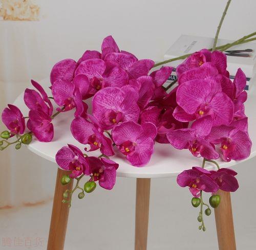 把9枝花分成两束有几种分法