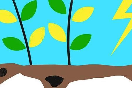 植物冬眠简笔画
