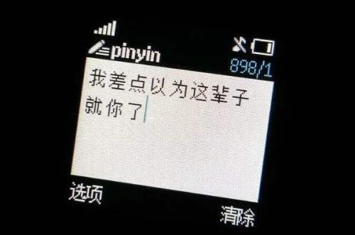 怎言世俗爱是什么意思