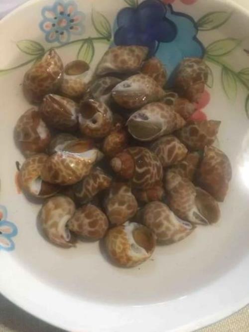 南风螺怎么煮