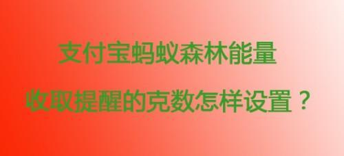 蚂蚁能量能不能两天收两次