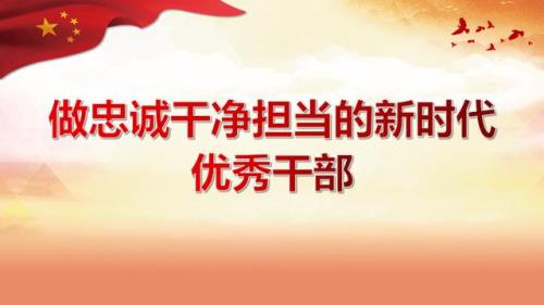 什么担当什么意思