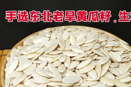 什么瓜子能冒充黄瓜籽