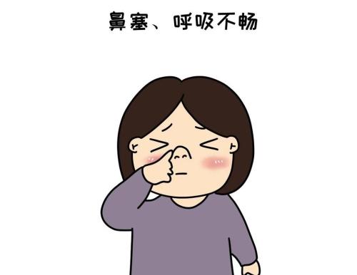 心智口体什么意思