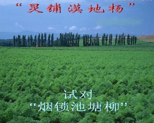 烟花柳巷对联下联
