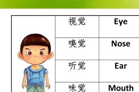 类似画或描的动词有哪些