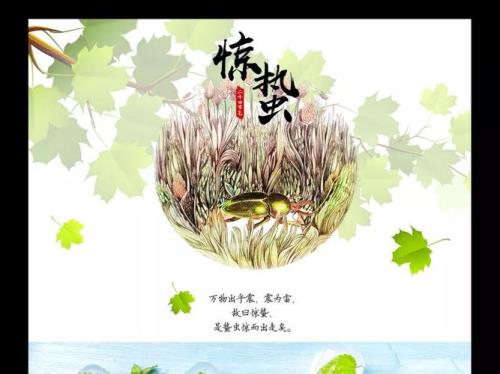 惊蛰大雾什么寓意