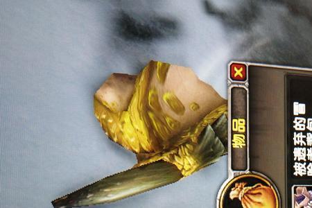 迷失的始祖幼龙多少血量