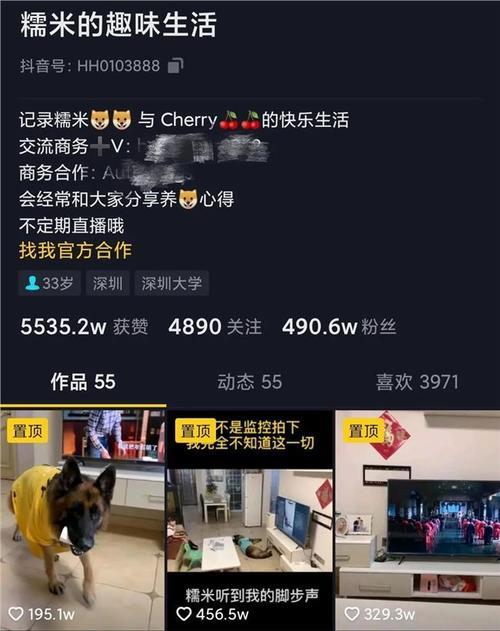 16万粉丝算网红吗