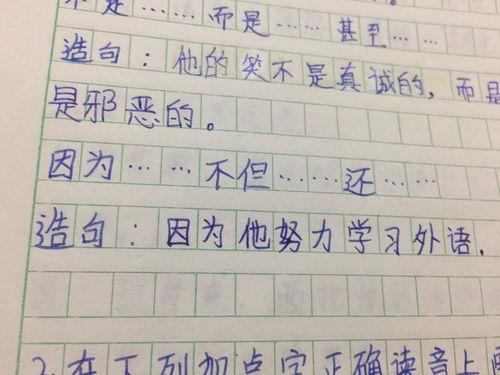 不仅还怎么造句形容种树