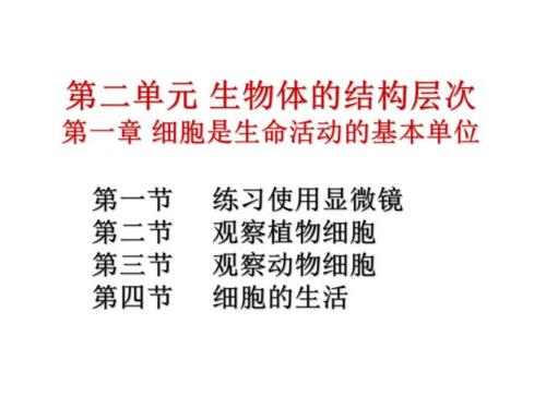 同一个生物体的细胞是怎么繁殖