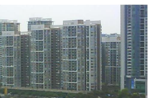 东逸意思