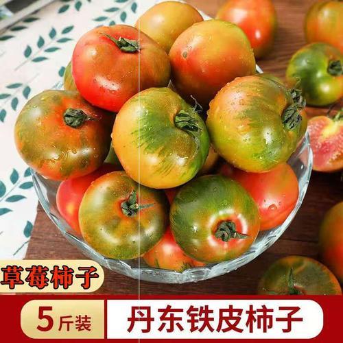 丹东铁皮西红柿是什么品种