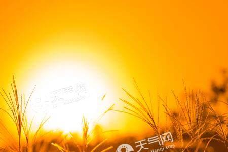 立秋后多长时间植物不再生长