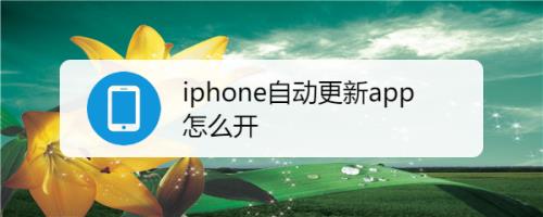 苹果手机如何设置APP自动更新