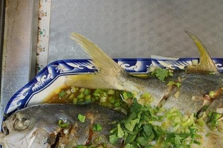 金鲳鱼的10种吃法