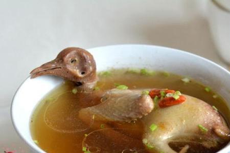 鸽子汤里的油能喝吗
