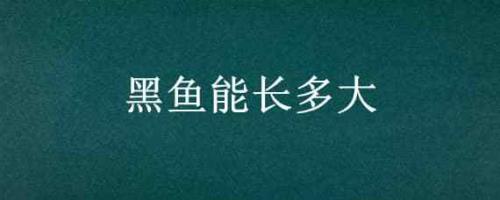 黑鱼寿命最长多少年