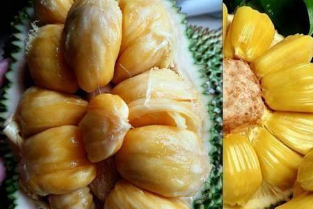 榴莲蜜能放多久