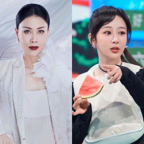 杨紫范丞丞相差几岁