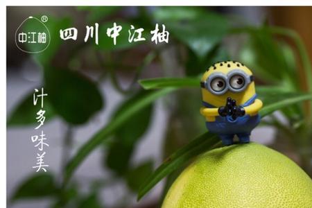 柚子的味道是什么味道的