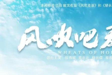 不易为风吹散的为的读音