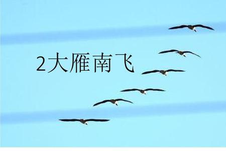 东北大雁南飞时间