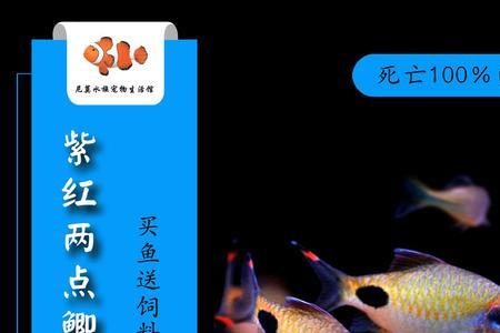 玫瑰鲫和钻石鲫的区别