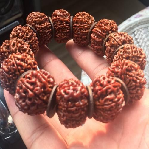 60元的金刚菩提是真的吗