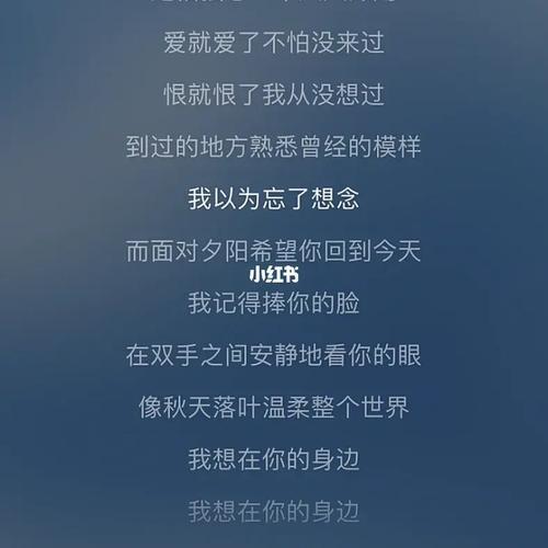 忘了吧的完整版歌词