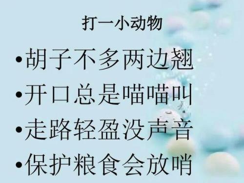 怎么用素字编一谜语