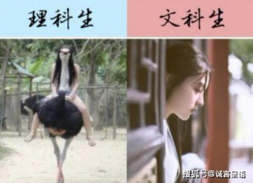 宋亚轩是文科生还是理科生