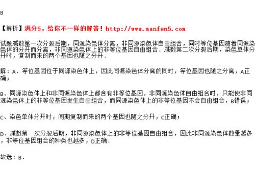 同源染色体的遗传信息相同吗
