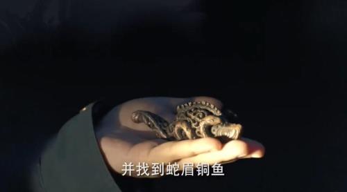 蛇眉铜鱼的秘密