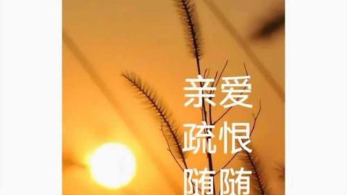亲疏随缘尽力就好下一句