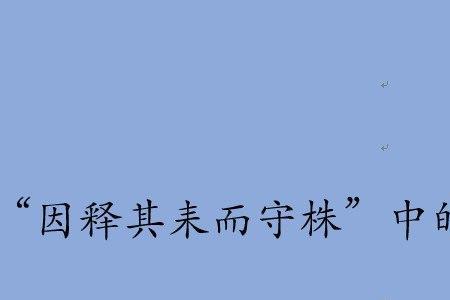 释中的释是指什么