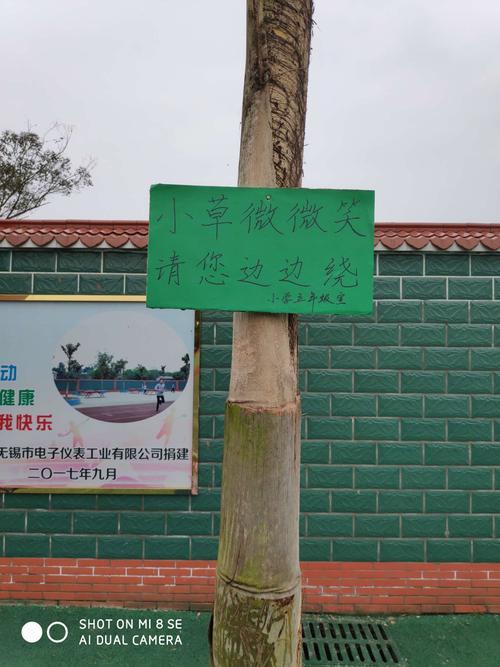 植树队队名
