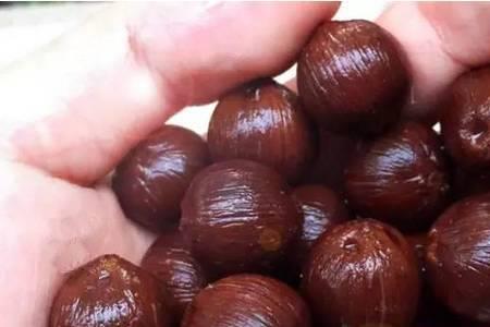 紫金鼠能用水洗吗