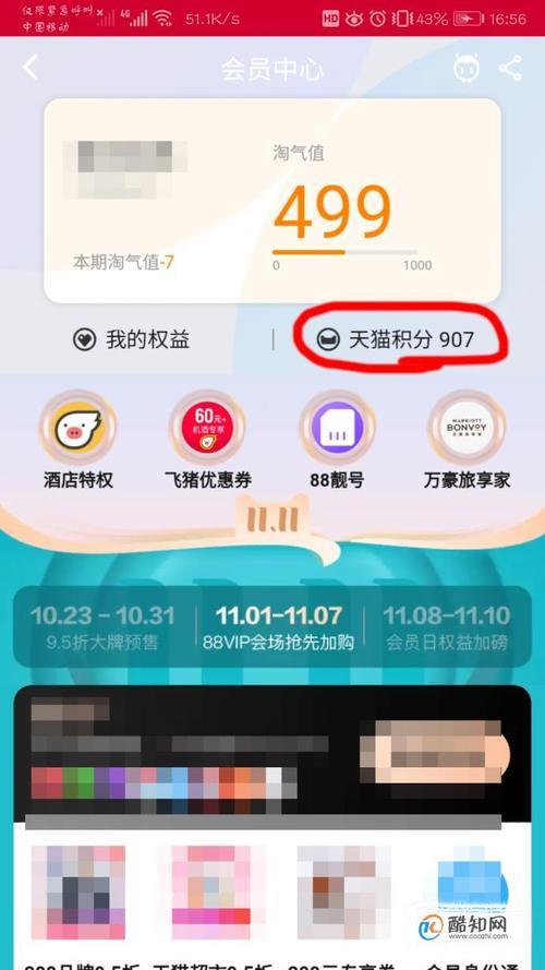 淘宝如何查看自己的天猫积分