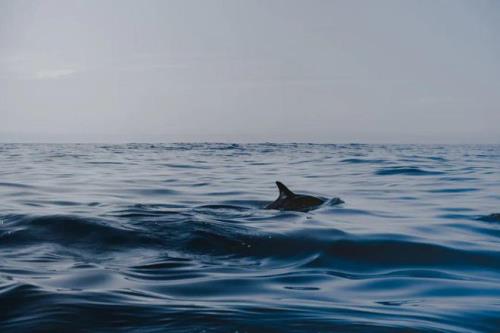 百而千千而万上一句是什么