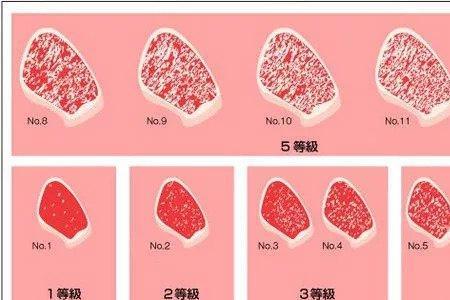 川牛和牛的区别