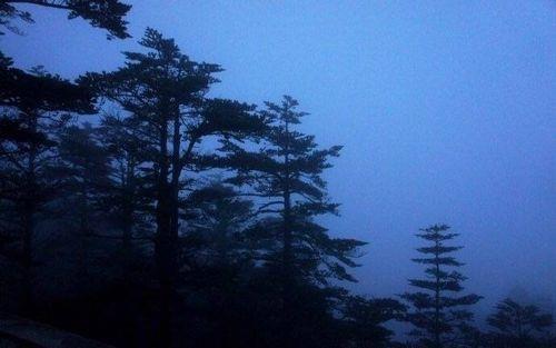 晨钟敲落千山月全文